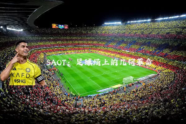 SAOT：足球场上的几何革命